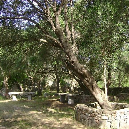 B&B L' Incantu Santa Teresa Gallura Eksteriør billede