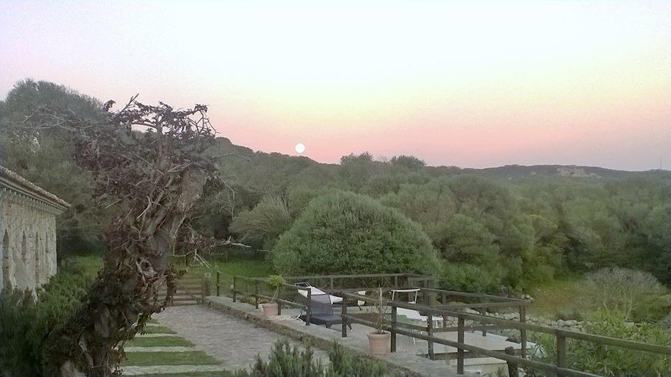B&B L' Incantu Santa Teresa Gallura Eksteriør billede