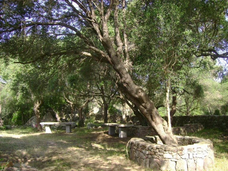 B&B L' Incantu Santa Teresa Gallura Eksteriør billede