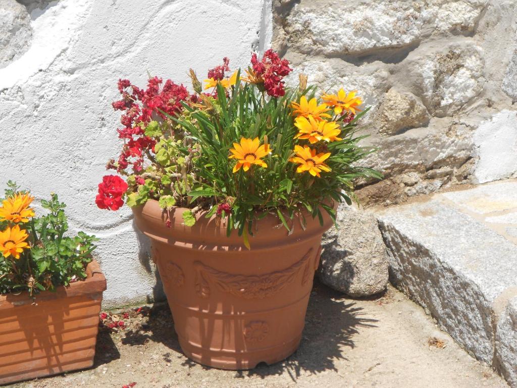 B&B L' Incantu Santa Teresa Gallura Eksteriør billede